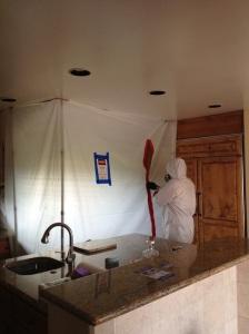 Mold Removal in Bonsall