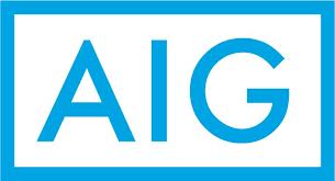 AIG, Insurance Approved, Birchall Restoration, Cleaning and Restoration Firm, Renovations and Remodels, Damage Specialists