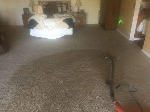 Birchall Restoration, Mold Removal, Mold Remediation, Mold Testing, Carpet Cleaning