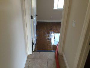 Birchall Restoration, Mold Removal, Mold Remediation, Mold Testing, Water Damage